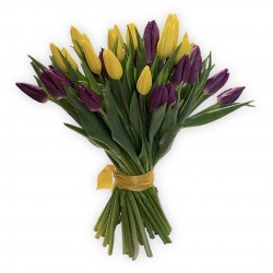 ONLY TULIPS