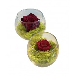 GLASS POT CON ROSA...