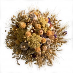 DRIED VINTAGE