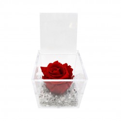 CUBO CON ROSA STABILIZZATA