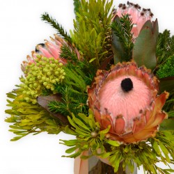 MY NAME IS PROTEA