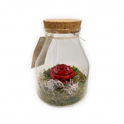 RED TERRARIUM