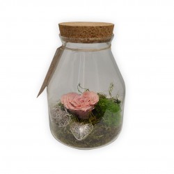 PINK TERRARIUM