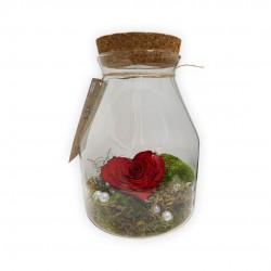 RED HEART TERRARIUM