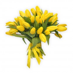 YELLOW TULIPS