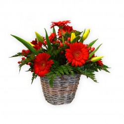 RED BASKET