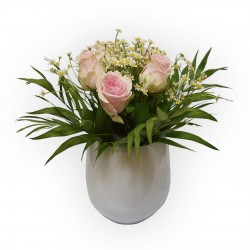 DELICATE PINK